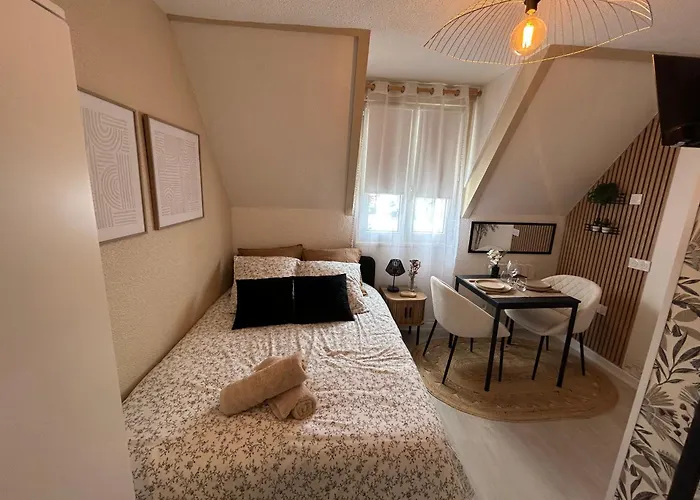 Le Ptit Jumoku Apartment Caen